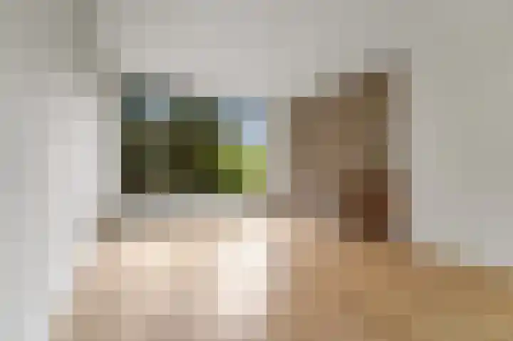 van Stein Callenfelsstraat 19 Rijswijk thumbnail 4