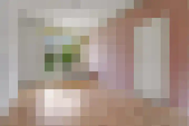van Stein Callenfelsstraat 19 Rijswijk thumbnail 5