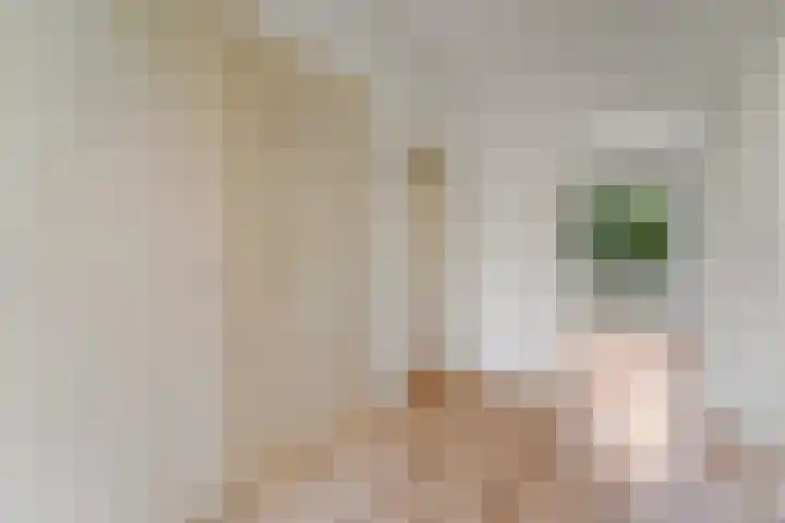 van Stein Callenfelsstraat 19 Rijswijk thumbnail 8