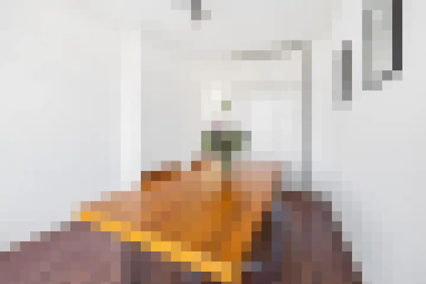 van Stein Callenfelsstraat 21 Rijswijk thumbnail 12