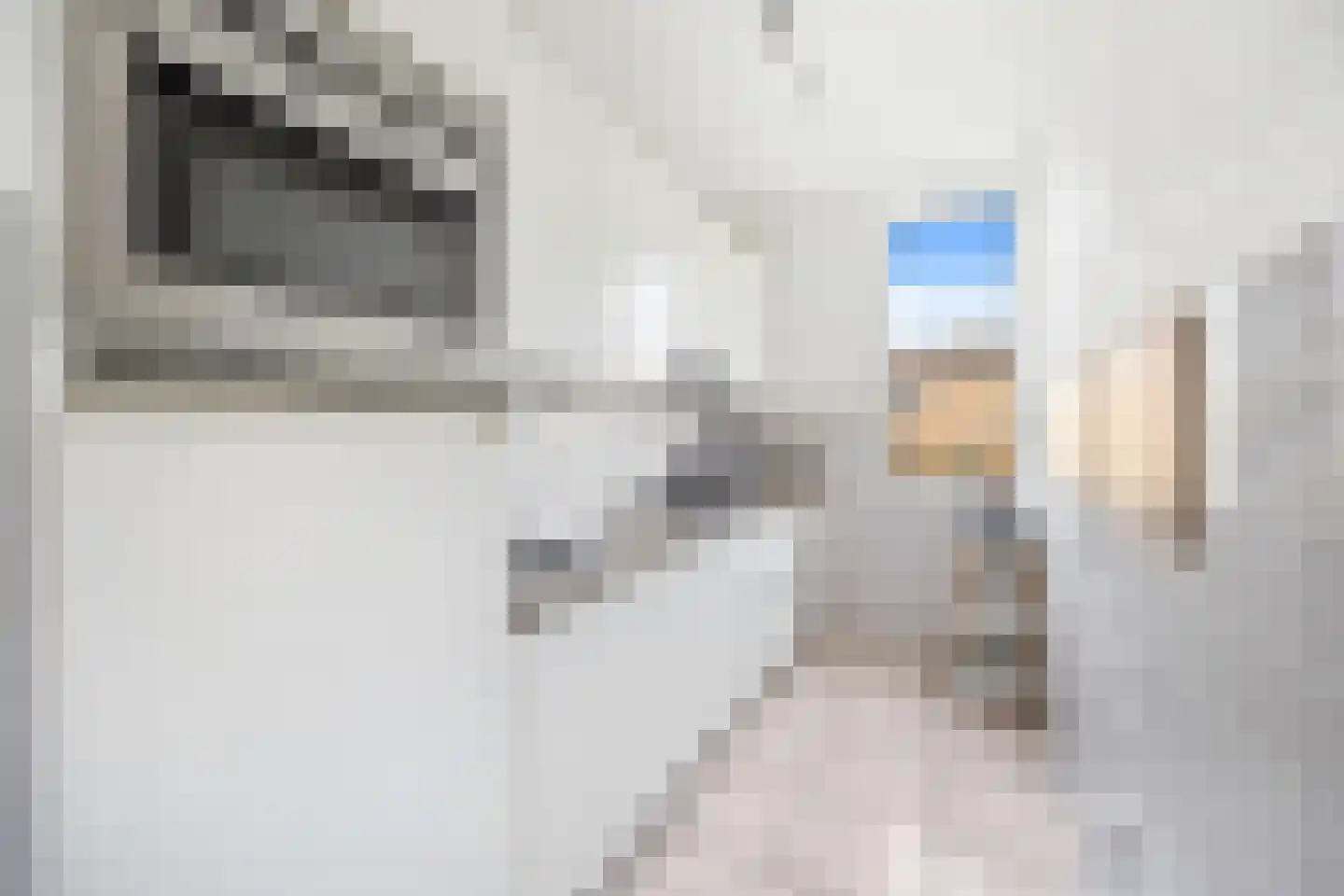 van Stein Callenfelsstraat 21 Rijswijk thumbnail 14