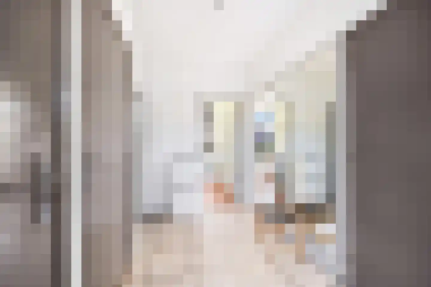 van Stein Callenfelsstraat 21 Rijswijk thumbnail 23