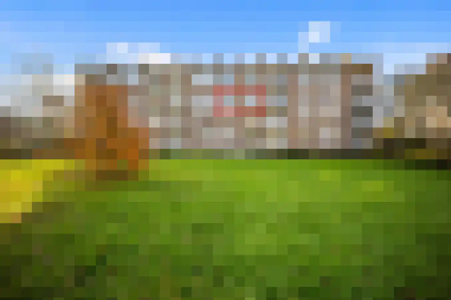 van Stein Callenfelsstraat 21 Rijswijk thumbnail 26