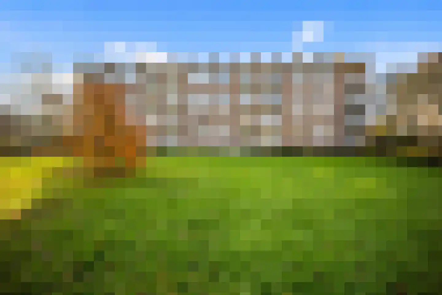 van Stein Callenfelsstraat 21 Rijswijk thumbnail 27