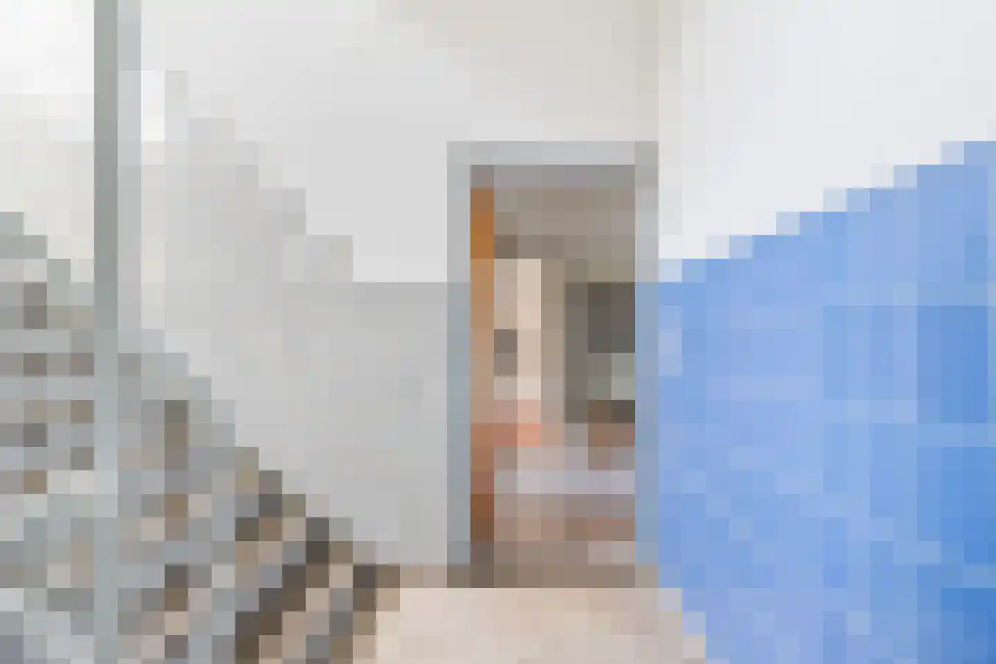 van Stein Callenfelsstraat 21 Rijswijk thumbnail 7