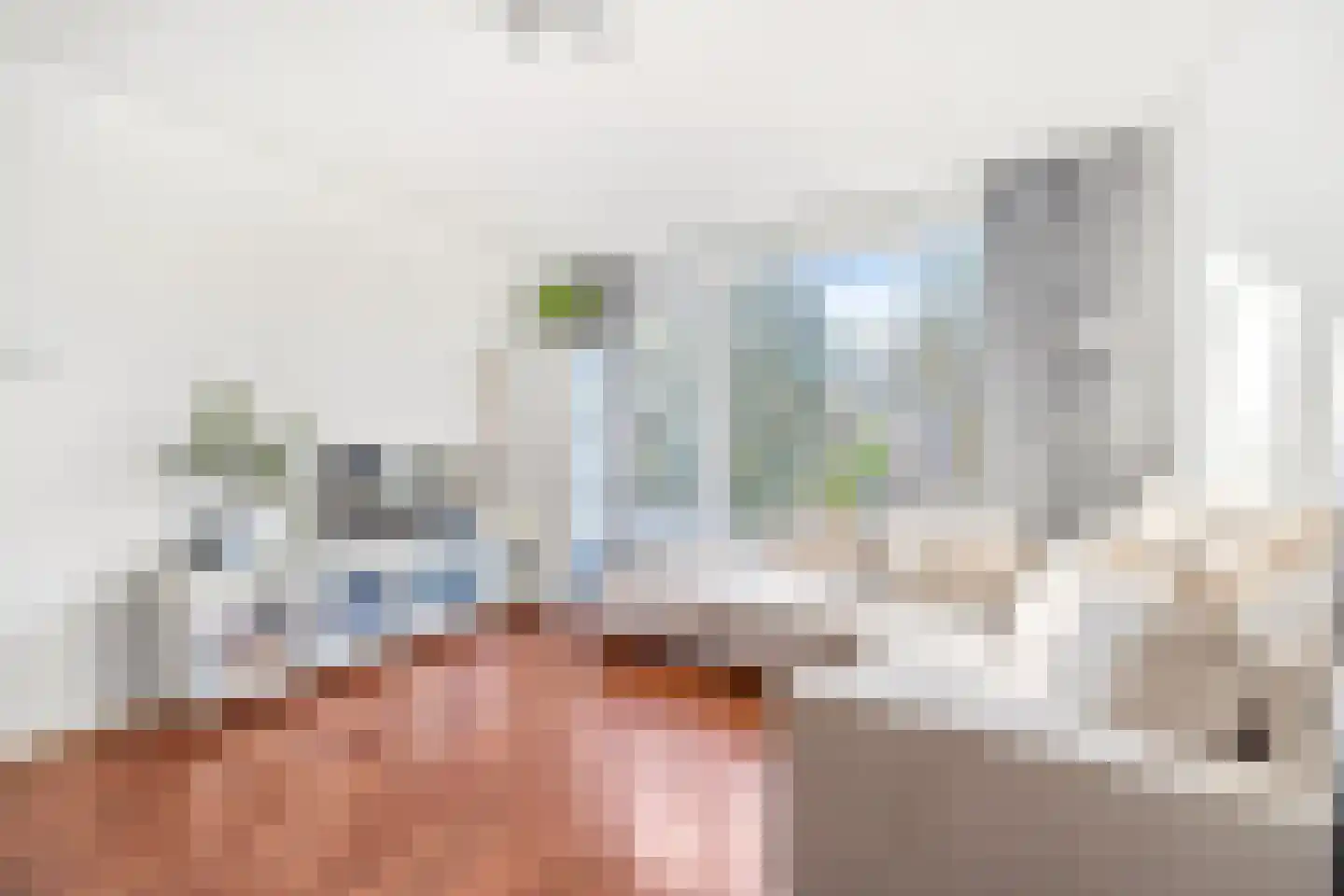 van Stein Callenfelsstraat 21 Rijswijk thumbnail 8
