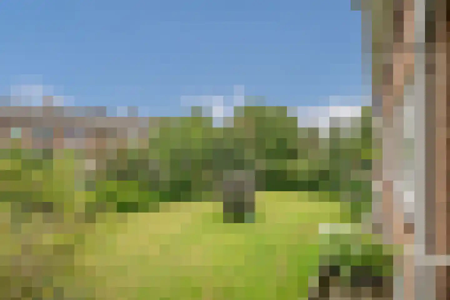van Stein Callenfelsstraat 5 Rijswijk thumbnail 23