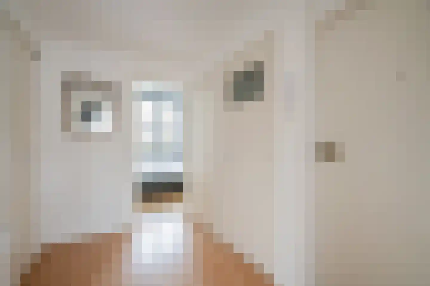 van Stein Callenfelsstraat 5 Rijswijk thumbnail 7