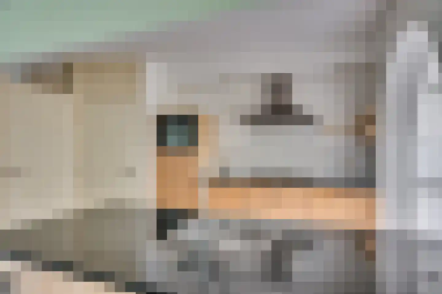 Van Stepraethstraat 8 Sevenum thumbnail 10