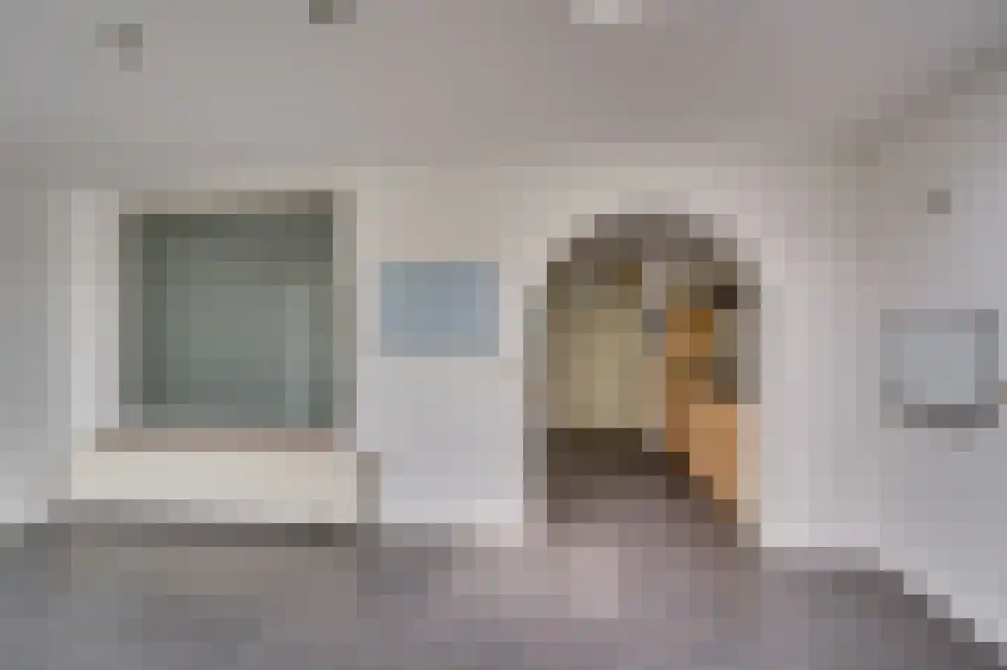 Van Stepraethstraat 8 Sevenum thumbnail 17