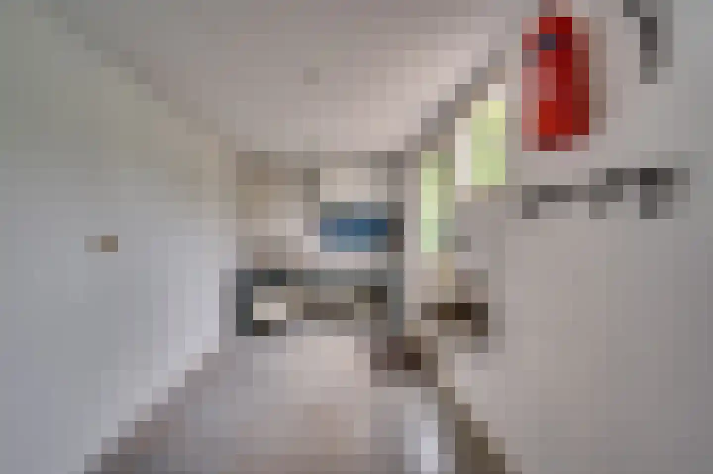 Van Stepraethstraat 8 Sevenum thumbnail 18
