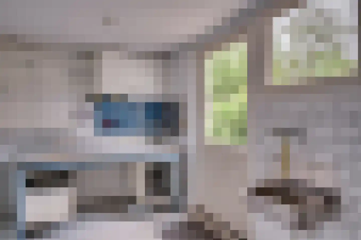 Van Stepraethstraat 8 Sevenum thumbnail 19