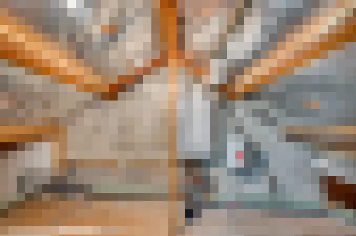 Van Stepraethstraat 8 Sevenum thumbnail 33