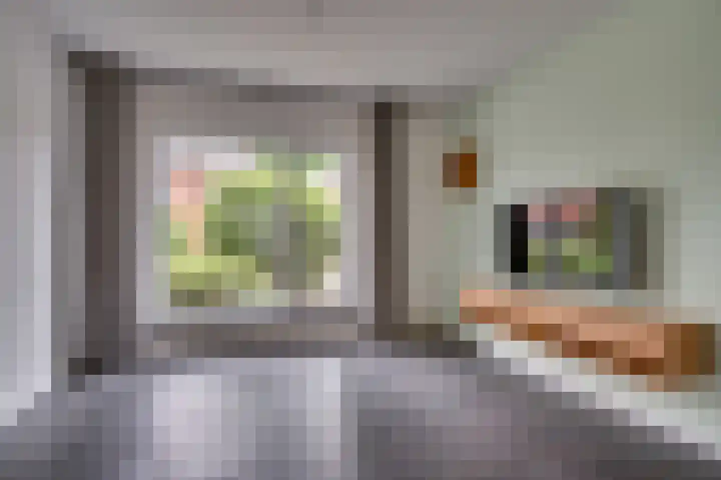 Van Stepraethstraat 8 Sevenum thumbnail 5