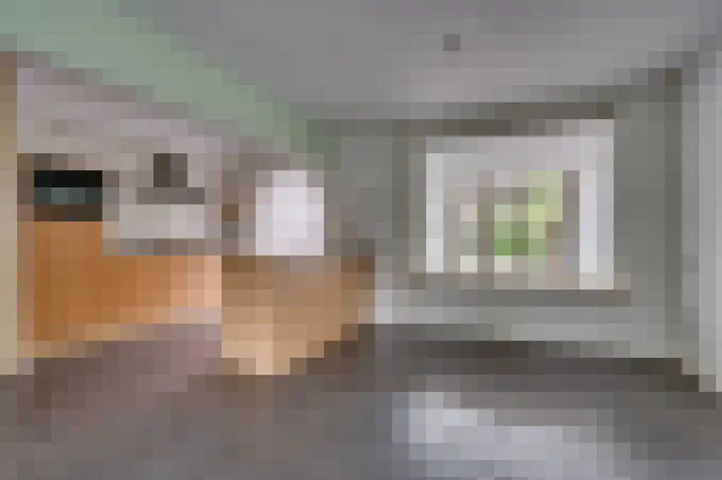 Van Stepraethstraat 8 Sevenum thumbnail 7