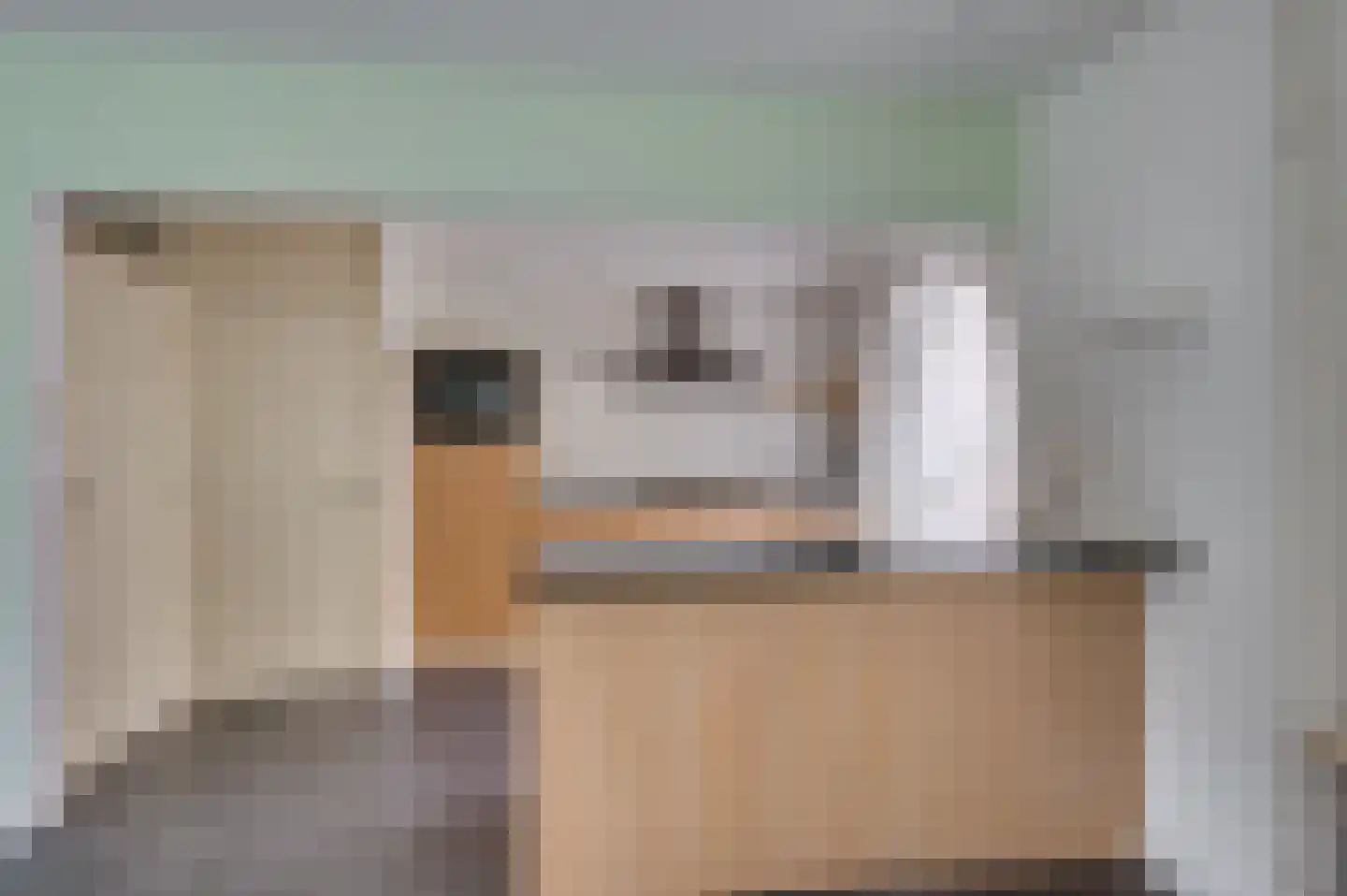 Van Stepraethstraat 8 Sevenum thumbnail 8