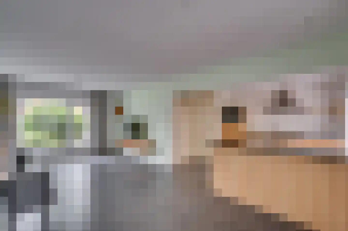 Van Stepraethstraat 8 Sevenum thumbnail 9