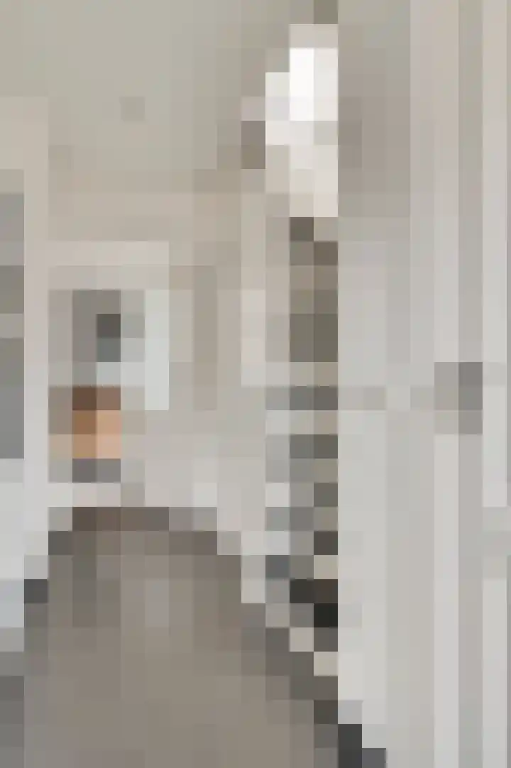 Van Stepraethstraat 9 Sevenum thumbnail 11