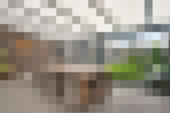 Van Stepraethstraat 9 Sevenum thumbnail 43