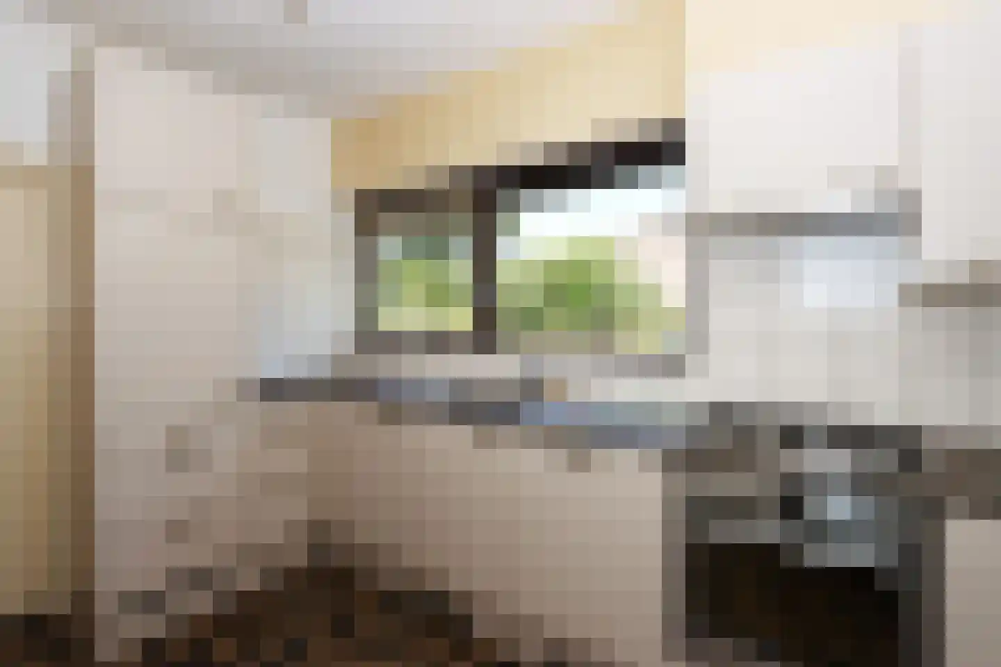 van Stiphoutstraat 1 Groesbeek thumbnail 4