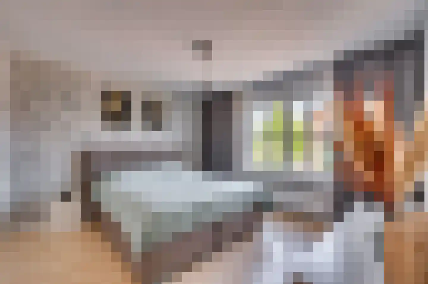 van Stockhemstraat 19 Venlo thumbnail 30