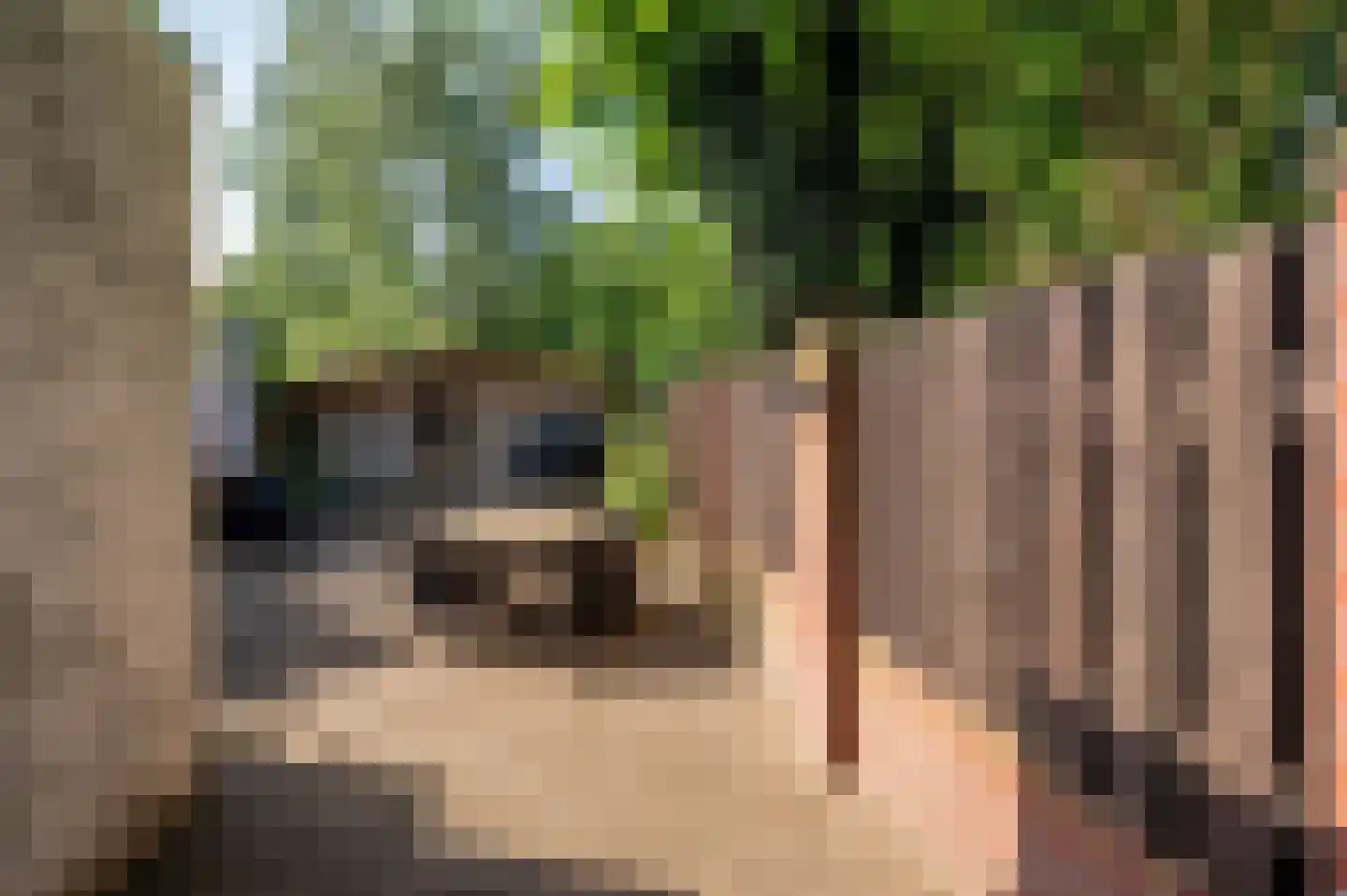 van Stockhemstraat 19 Venlo thumbnail 42