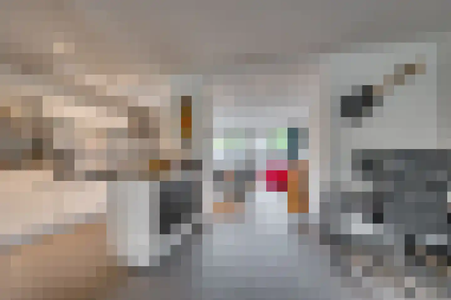van Stockhemstraat 9 Venlo thumbnail 6