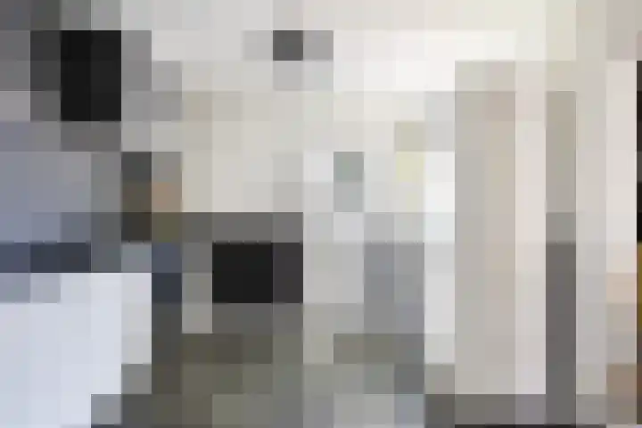 Van Stolberglaan 20 Vroomshoop thumbnail 10