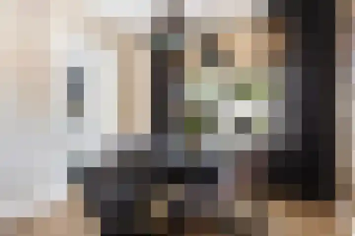Van Stolberglaan 20 Vroomshoop thumbnail 13