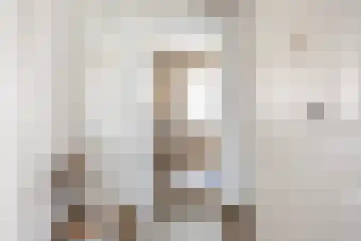 Van Stolberglaan 20 Vroomshoop thumbnail 25