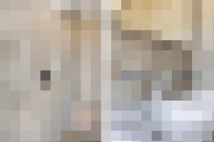 Van Stolberglaan 20 Vroomshoop thumbnail 27