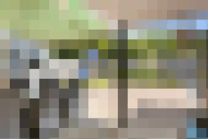 Van Stolberglaan 20 Vroomshoop thumbnail 35