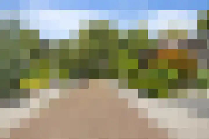 Van Stolberglaan 20 Vroomshoop thumbnail 41