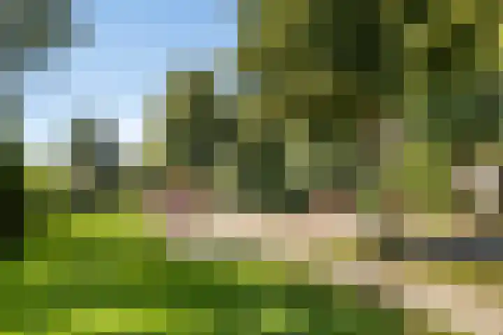 Van Stolberglaan 20 Vroomshoop thumbnail 42