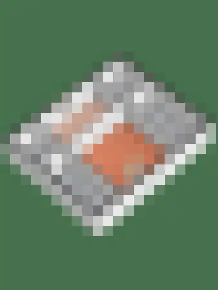 Van Stolberglaan 20 Vroomshoop thumbnail 49