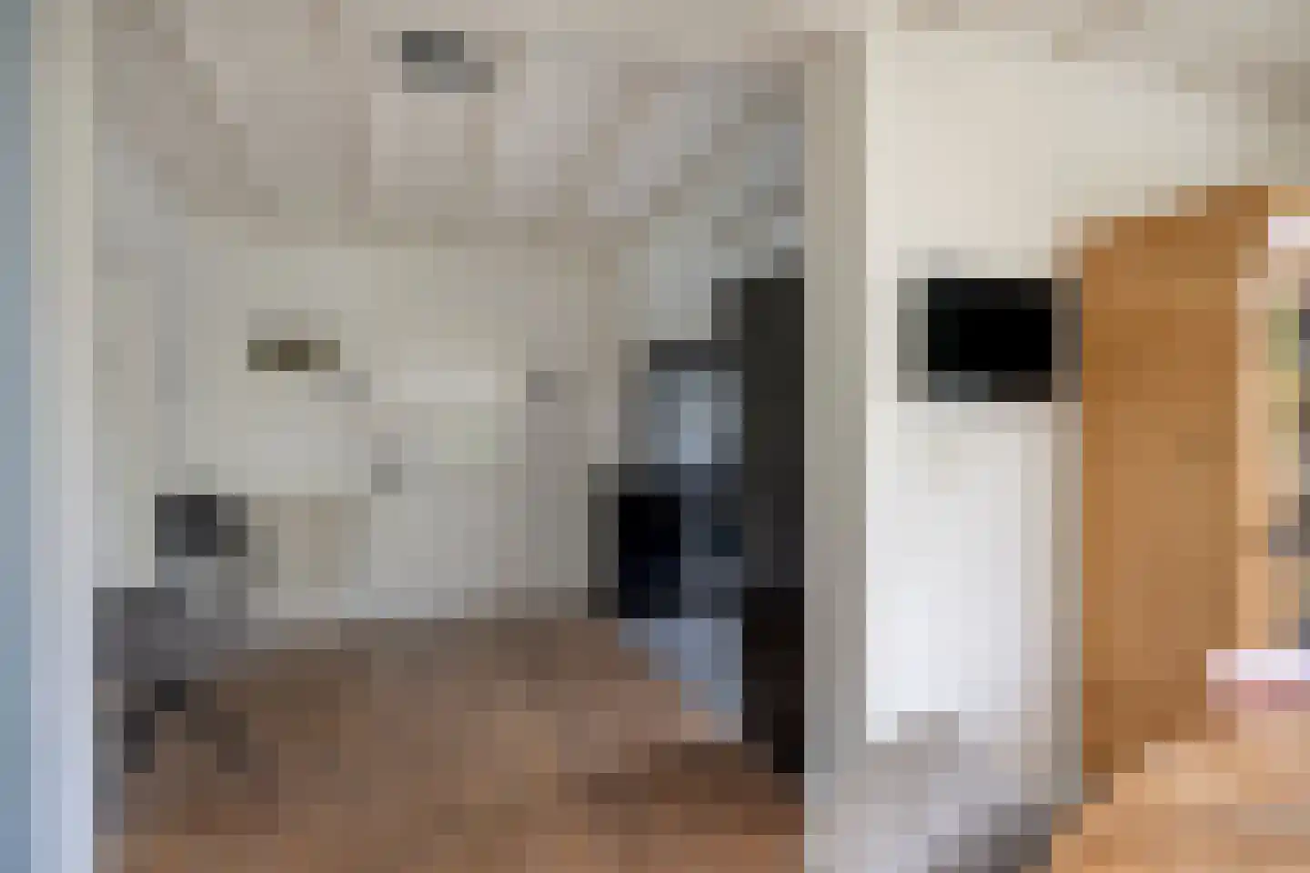 Van Stolberglaan 47 Vroomshoop thumbnail 10