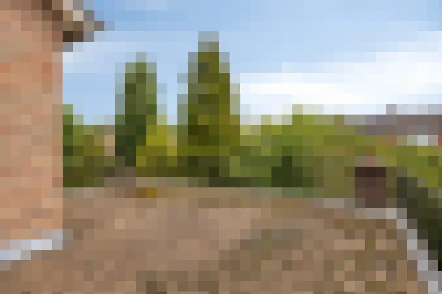 Van Stolberglaan 47 Vroomshoop thumbnail 26