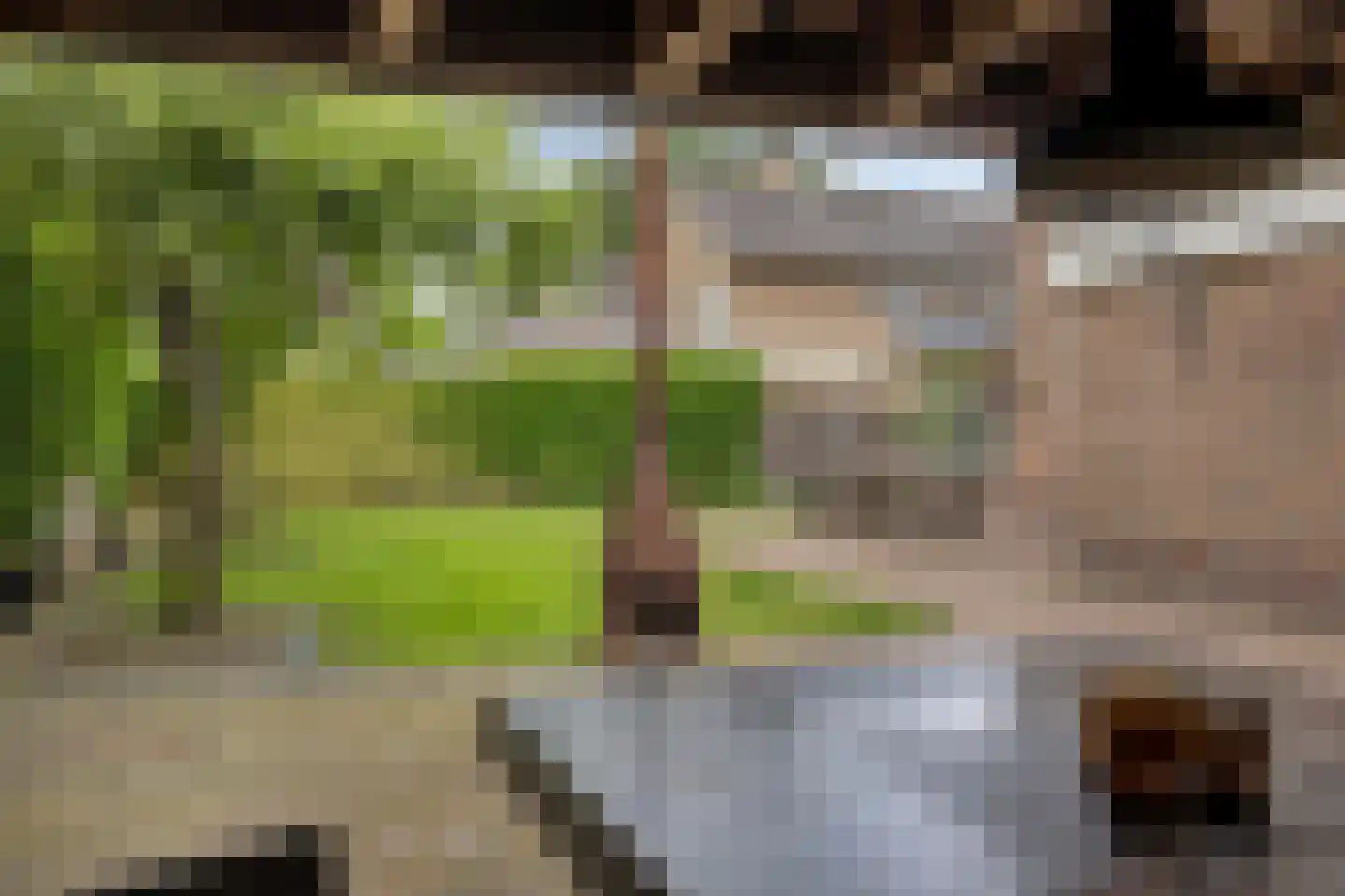 Van Stolberglaan 47 Vroomshoop thumbnail 31