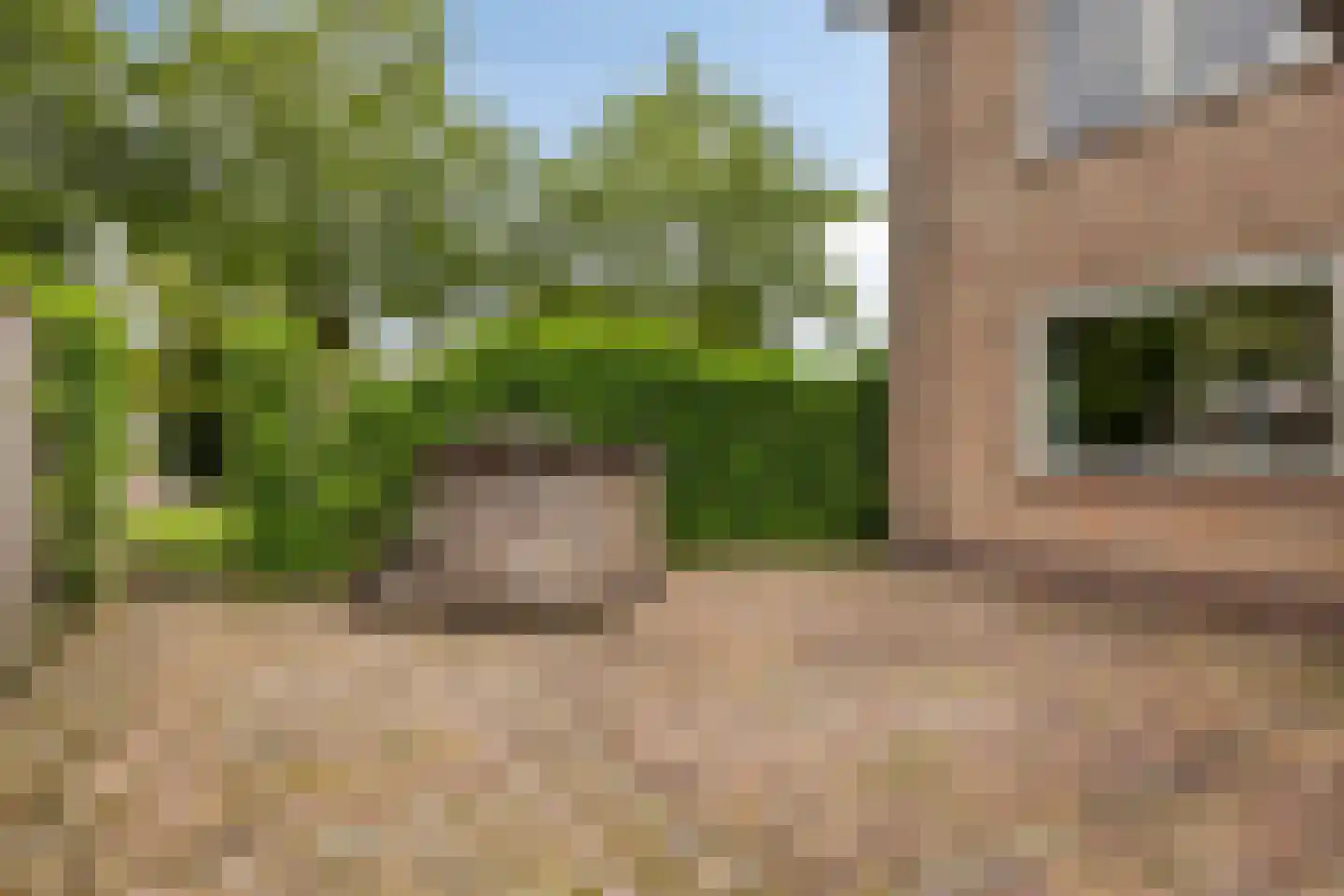 Van Stolberglaan 47 Vroomshoop thumbnail 34