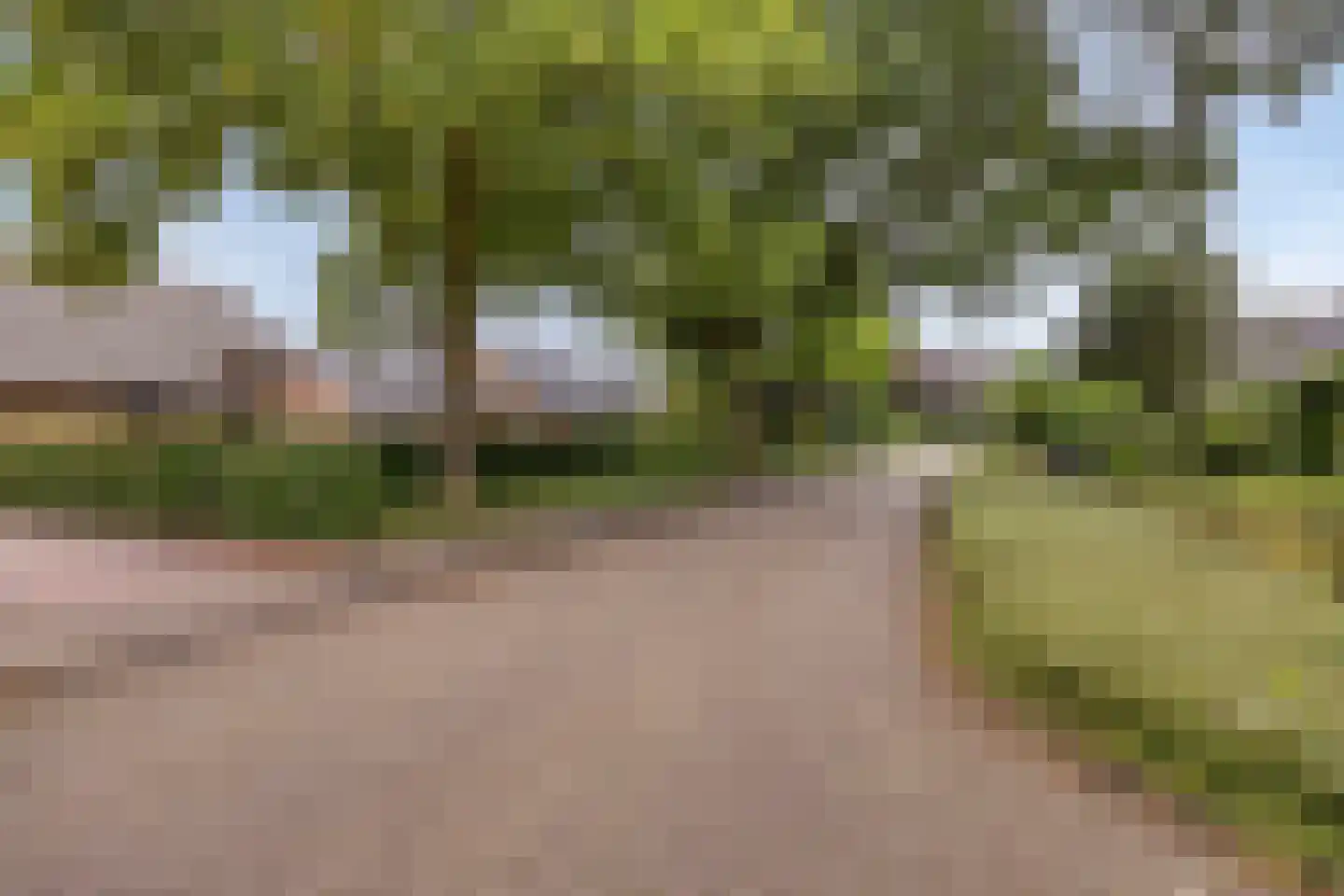 Van Stolberglaan 47 Vroomshoop thumbnail 36