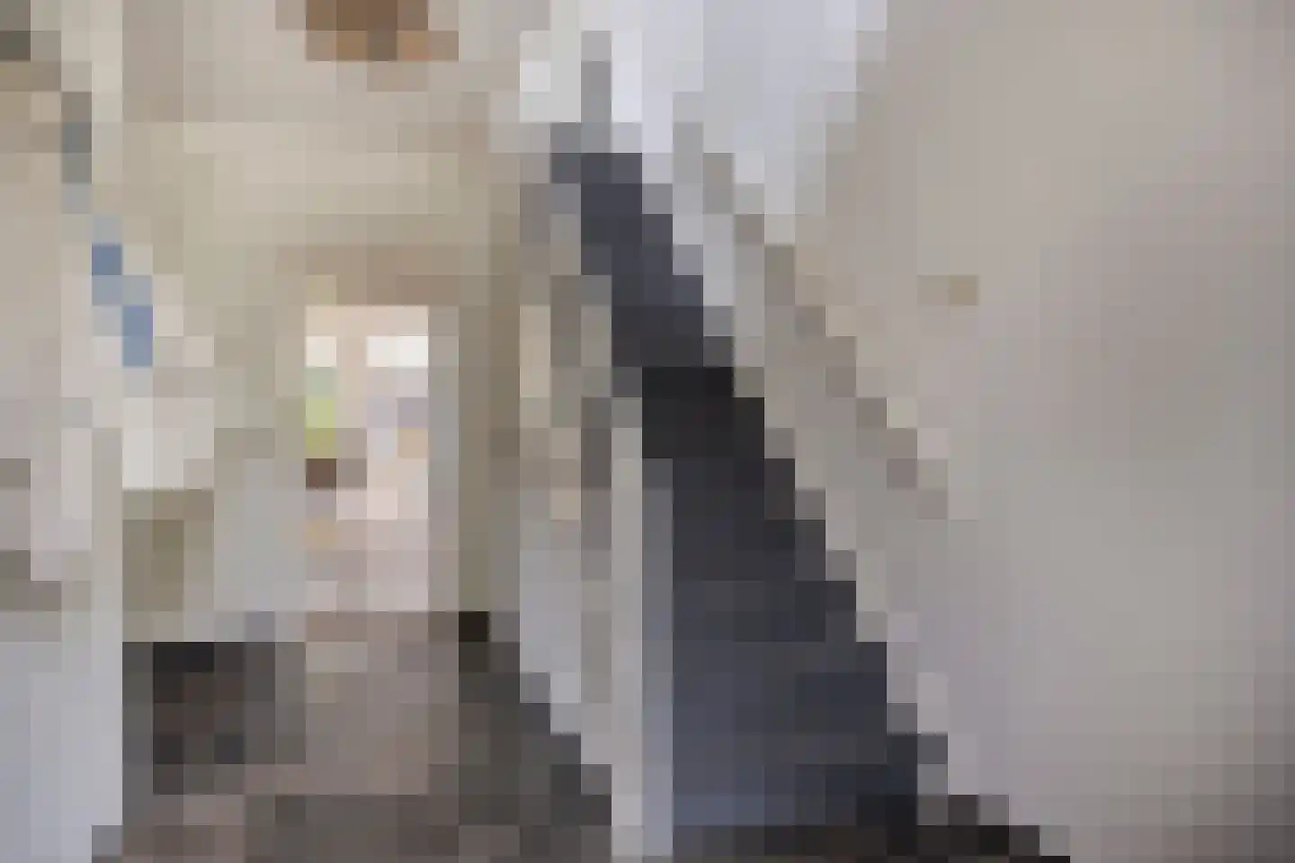 Van Stolberglaan 47 Vroomshoop thumbnail 39