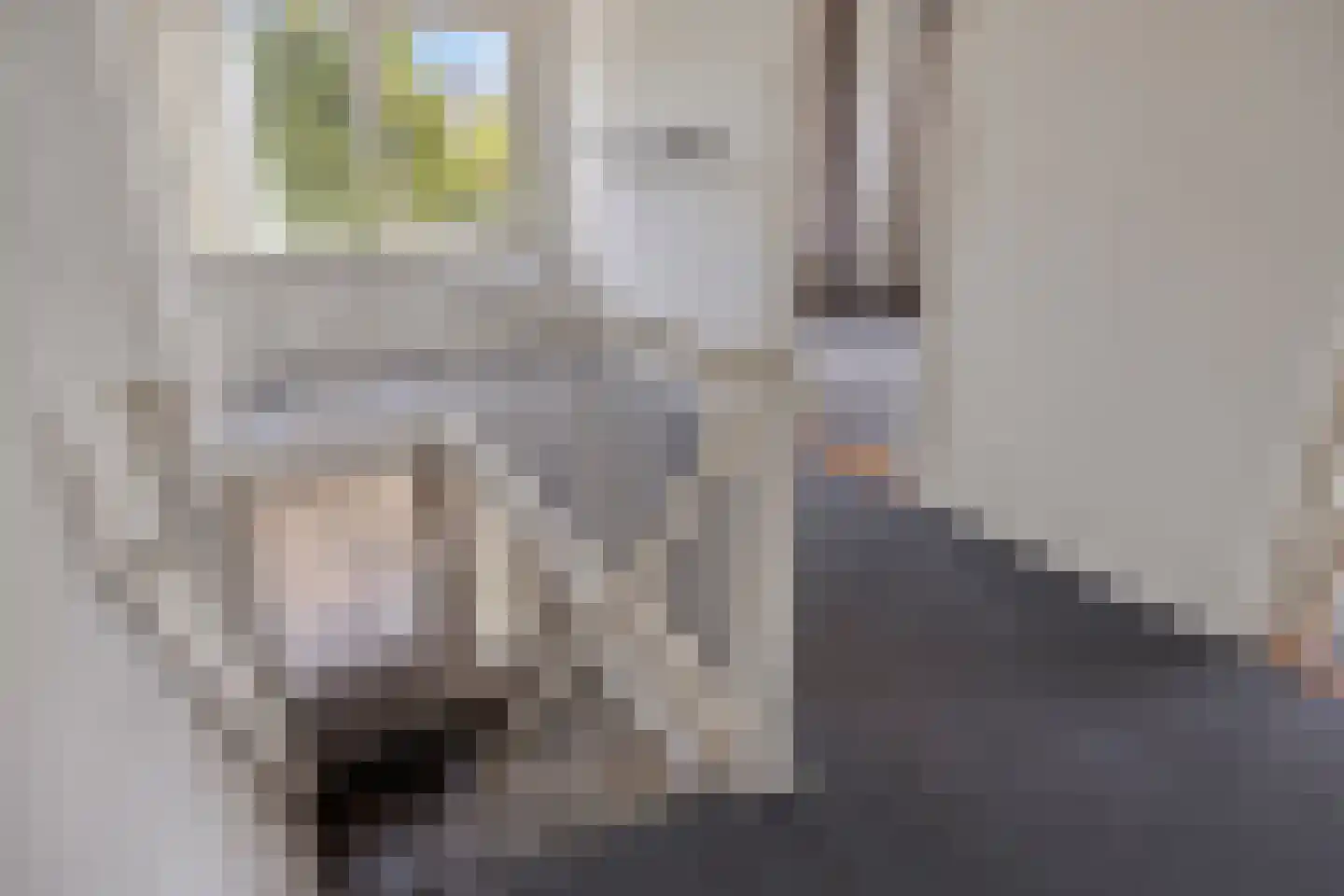 Van Stolberglaan 47 Vroomshoop thumbnail 41