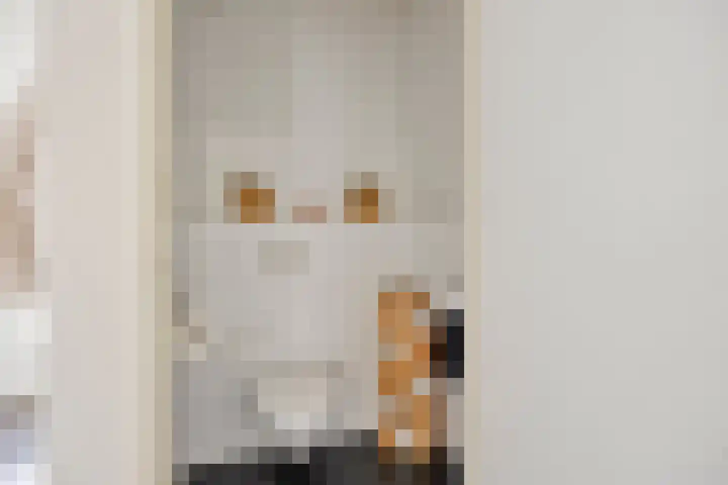Van Stolberglaan 47 Vroomshoop thumbnail 43