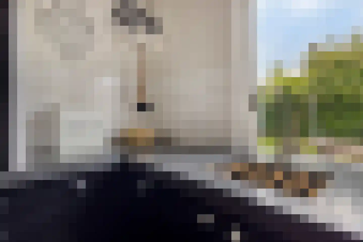 Van Stolberglaan 47 Vroomshoop thumbnail 7
