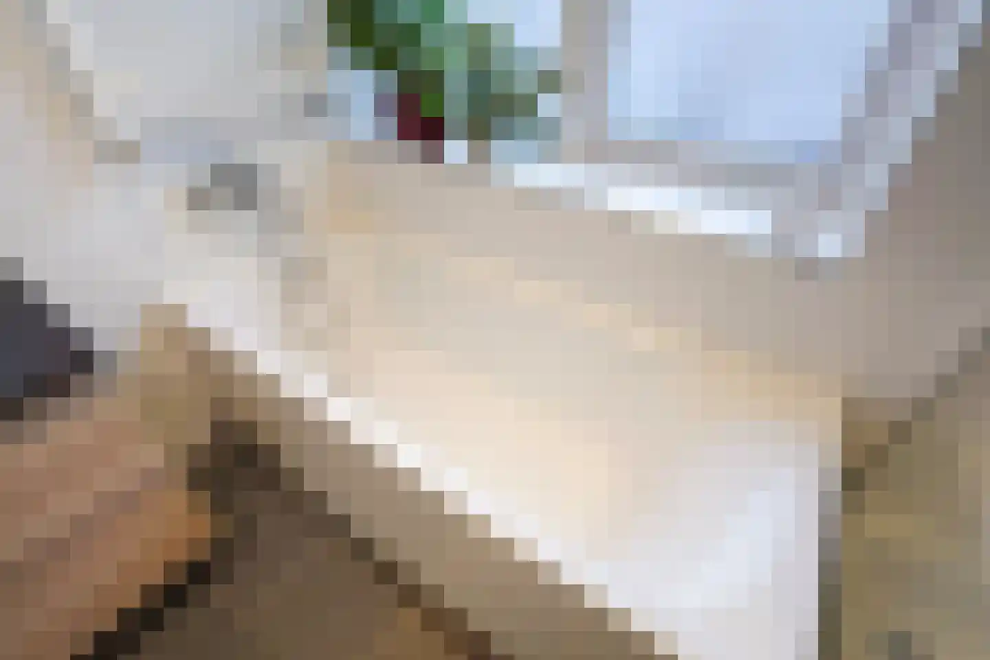 Van Stolbergstraat 14 Delft thumbnail 33