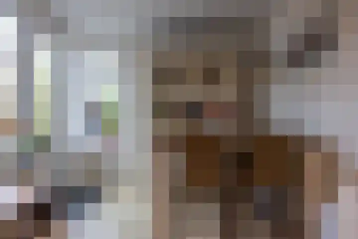 Van Stolbergstrjitte 3 Kootstertille thumbnail 10
