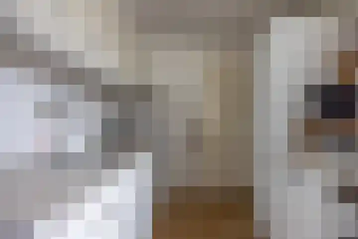 Van Stolbergstrjitte 3 Kootstertille thumbnail 11