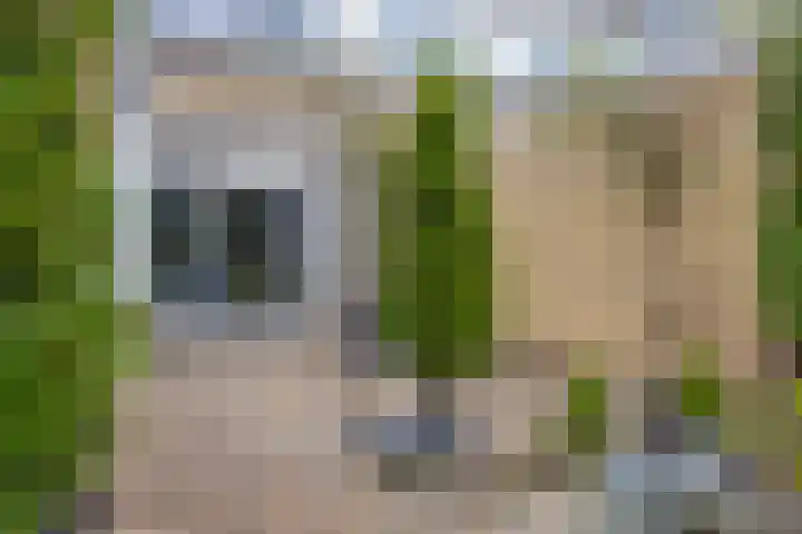 Van Stolbergstrjitte 3 Kootstertille thumbnail 27