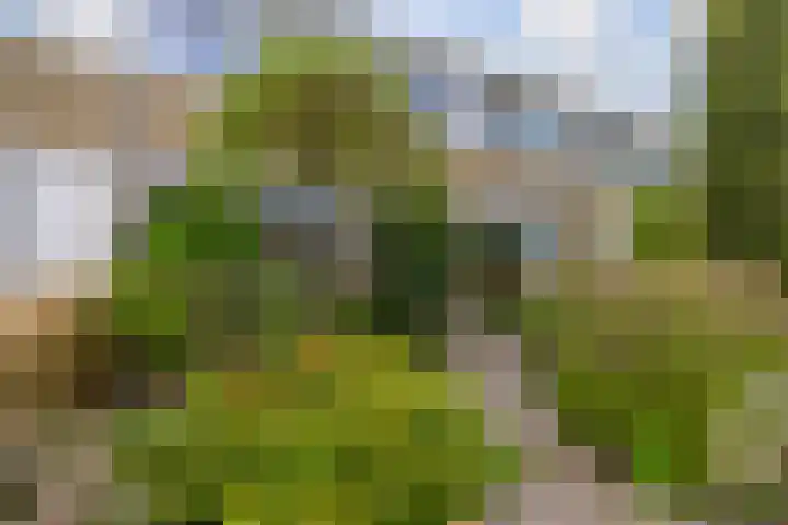 Van Stolbergstrjitte 3 Kootstertille thumbnail 31
