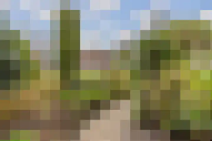 Van Stolbergstrjitte 3 Kootstertille thumbnail 32
